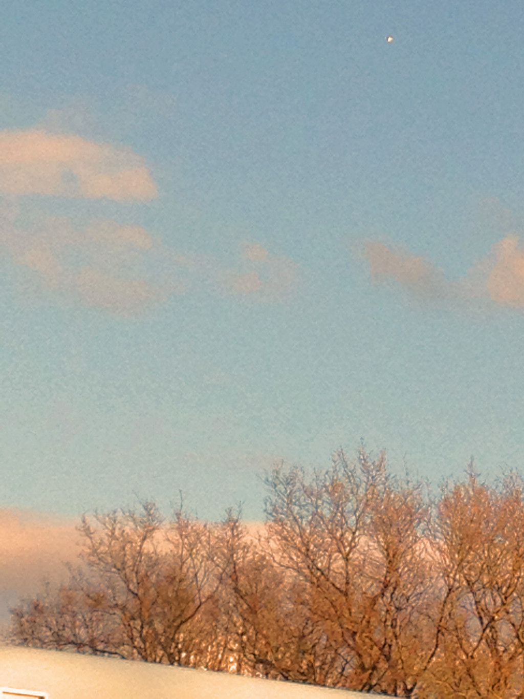 Newlands Corner, Surrey (United Kigdom)