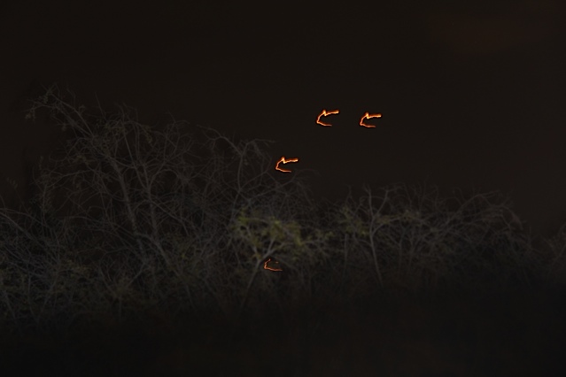 Santa Monica, California (United States)