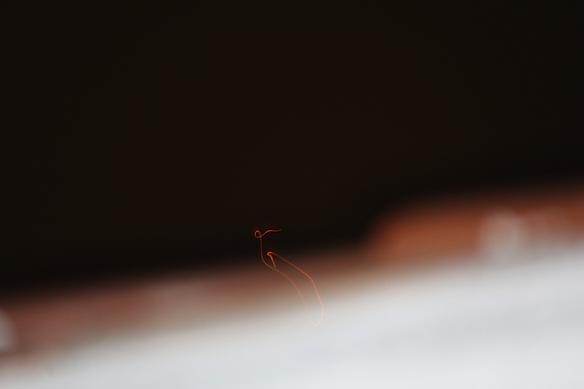 Santa Monica, California (United States)